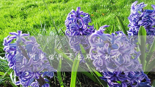 同事信用卡逾期找到我