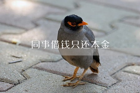 同事借钱只还本金