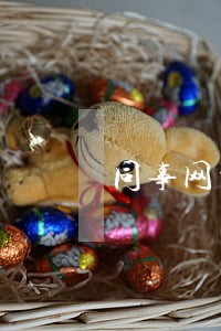 同事网贷留我的手机号码逾期