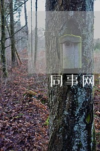 同事网贷逾期了怎么办 同事网贷逾期了怎么办