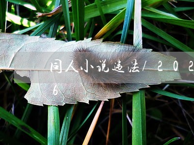 同人小说违法/2023013024696 同人小说违法/2023013024696