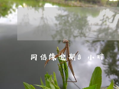 同信缘逾期8小时 同信缘逾期8小时