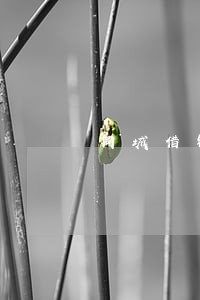 同城借钱逾期2天 同城借钱逾期2天