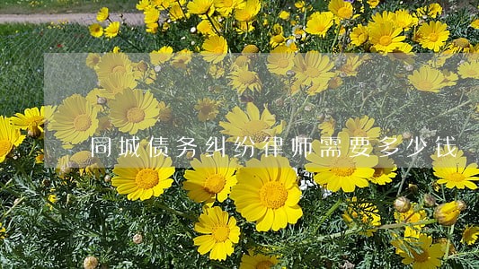 同城债务纠纷律师需要多少钱 同城债务纠纷律师需要多少钱