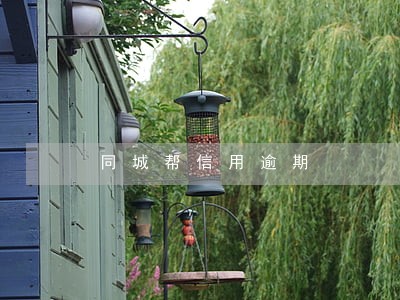 同城帮信用逾期 同城帮信用逾期