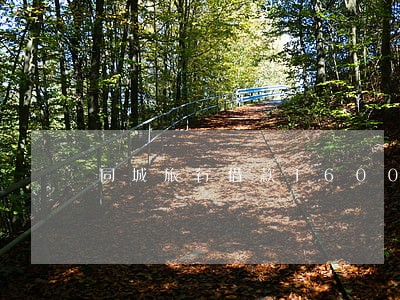同城旅行借款1600逾期 同城旅行借款1600逾期