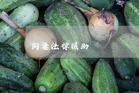 同妻法律援助 同妻法律援助