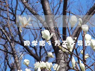 同学借3万不还导致我逾期 同学借3万不还导致我逾期