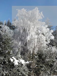 同学借钱不还能通过法院起诉他吗 同学借钱不还能通过法院起诉他吗