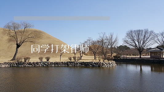 同学打架律师 同学打架律师