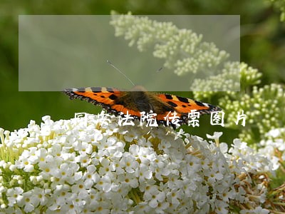 同安法院传票图片 同安法院传票图片