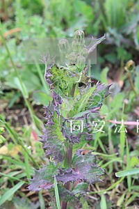 同安法院领导班子 同安法院领导班子