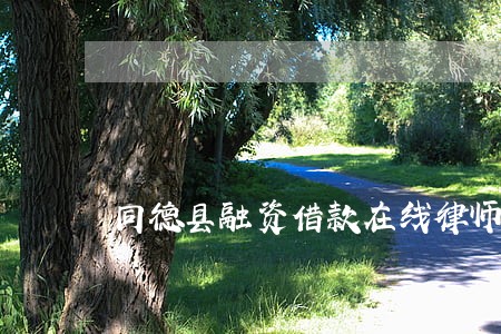 同德县融资借款在线律师 同德县融资借款在线律师