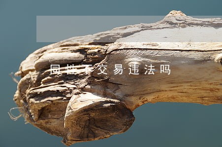 同性不交易违法吗