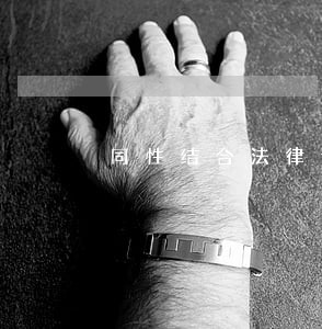 同性结合法律认可与未成年人利益 同性结合法律认可与未成年人利益