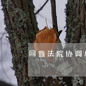 同意法院协调后能反悔吗