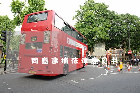 同意逮捕法律意见书 同意逮捕法律意见书
