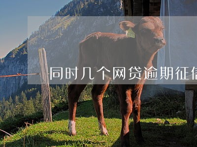 同时几个网贷逾期征信怎么算 同时几个网贷逾期征信怎么算