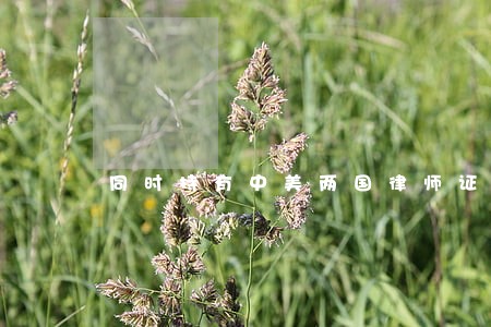 同时持有中美两国律师证 同时持有中美两国律师证