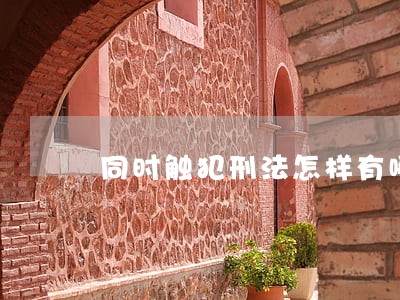 同时触犯刑法怎样有哪个机构调查 同时触犯刑法怎样有哪个机构调查