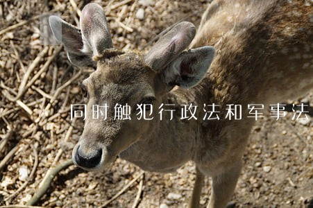 同时触犯行政法和军事法 同时触犯行政法和军事法