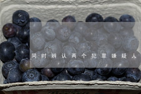 同时辨认两个犯罪嫌疑人是否违法 同时辨认两个犯罪嫌疑人是否违法