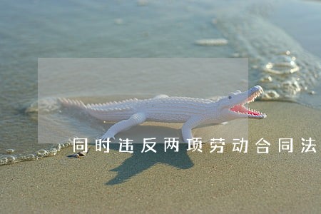 同时违反两项劳动合同法