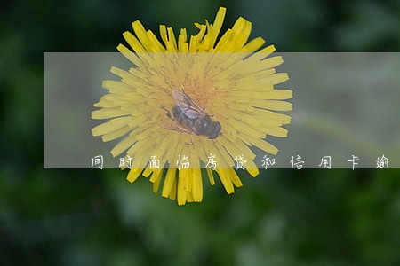 同时面临房贷和信用卡逾期 同时面临房贷和信用卡逾期