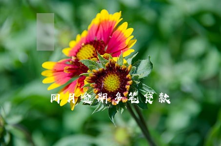 同月逾期多笔贷款 同月逾期多笔贷款