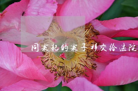 同案犯的案子移交给法院了 同案犯的案子移交给法院了