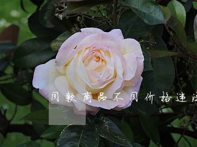 同款商品不同价格违法吗 同款商品不同价格违法吗
