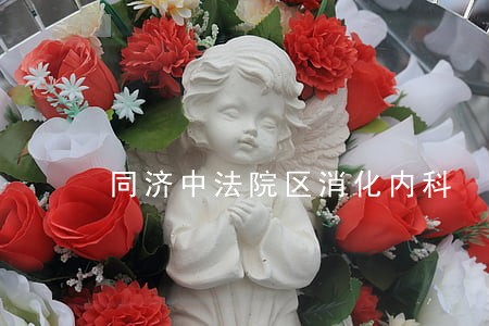 同济中法院区消化内科 同济中法院区消化内科