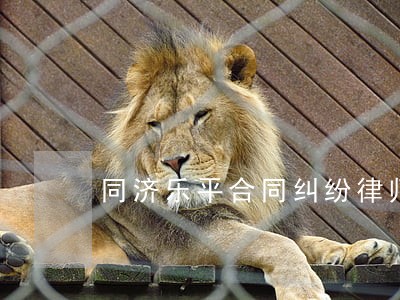 同济乐平合同纠纷律师 同济乐平合同纠纷律师