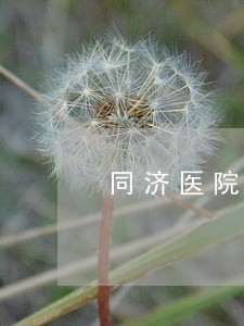 同济医院中法院区出诊时间 同济医院中法院区出诊时间