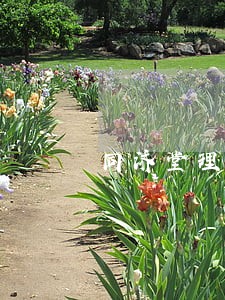 同济堂理财逾期 同济堂理财逾期