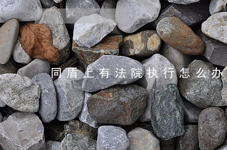 同盾上有法院执行怎么办呢 同盾上有法院执行怎么办呢