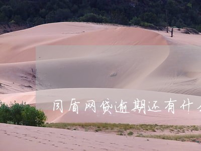 同盾网贷逾期还有什么可以贷 同盾网贷逾期还有什么可以贷