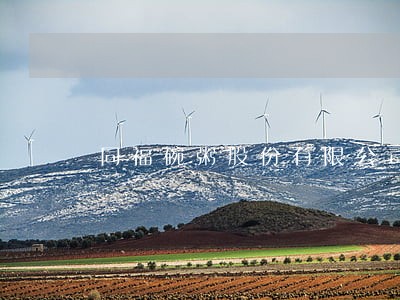 同福碗粥股份有限公司法律意见书 同福碗粥股份有限公司法律意见书