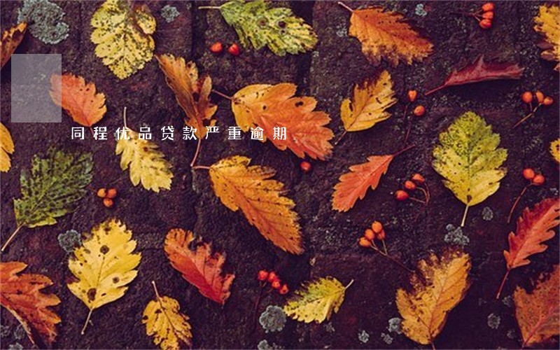 同程优品贷款严重逾期 同程优品贷款严重逾期
