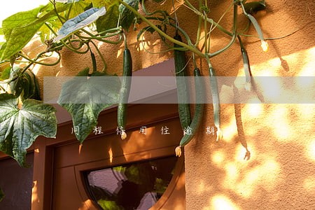 同程信用住逾期 同程信用住逾期
