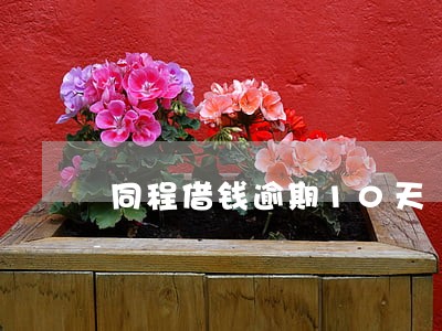 同程借钱逾期10天 同程借钱逾期10天
