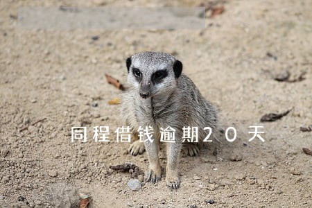 同程借钱逾期20天 同程借钱逾期20天