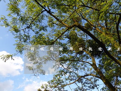同程提钱游借款逾期2000 同程提钱游借款逾期2000