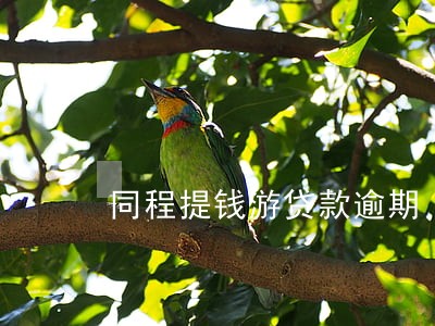同程提钱游贷款逾期 同程提钱游贷款逾期