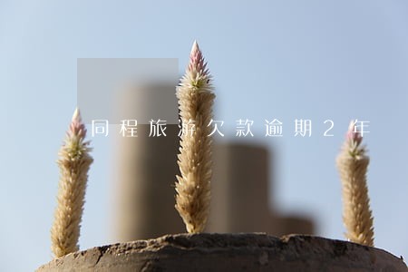 同程旅游欠款逾期2年 同程旅游欠款逾期2年