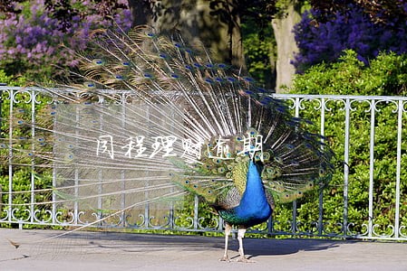 同程理财逾期