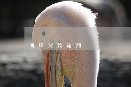 同程贷款逾期 同程贷款逾期