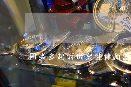 同类多起诉讼案件律师怎么收费