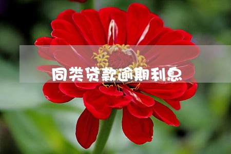 同类贷款逾期利息 同类贷款逾期利息
