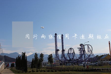 同行两张信用卡逾期超五万 同行两张信用卡逾期超五万